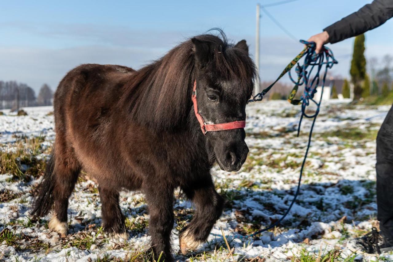 Orzechowa Ostoja Noclegi Energylandia Bachowice Eksteriør bilde
