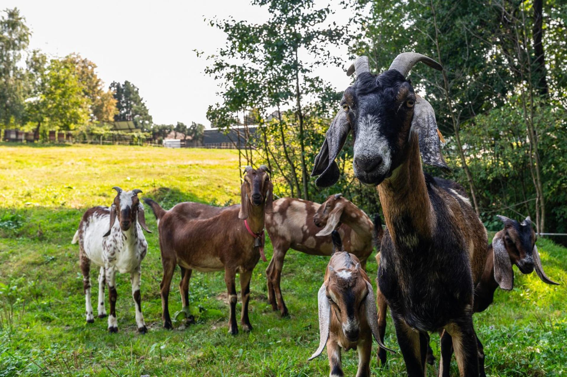 Orzechowa Ostoja Noclegi Energylandia Bachowice Eksteriør bilde